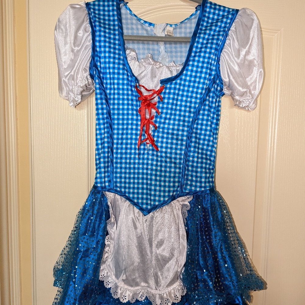Halloween Wizard of Oz Dorothy Costume